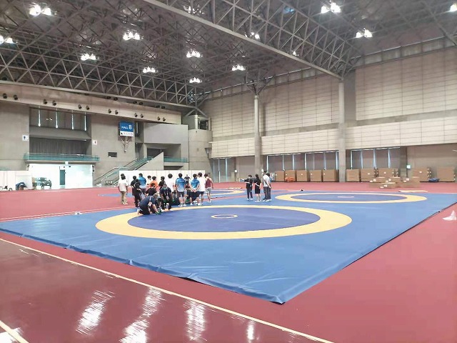 TOKYO2020オリンピック仕様レスリングマット